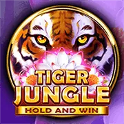 Lợi ích khi chơi tại ff88 win casino