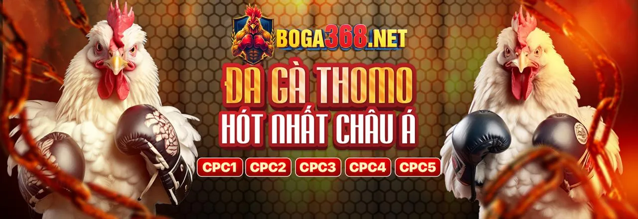 Đá gà trực tuyến kịch tính tại ff88 win