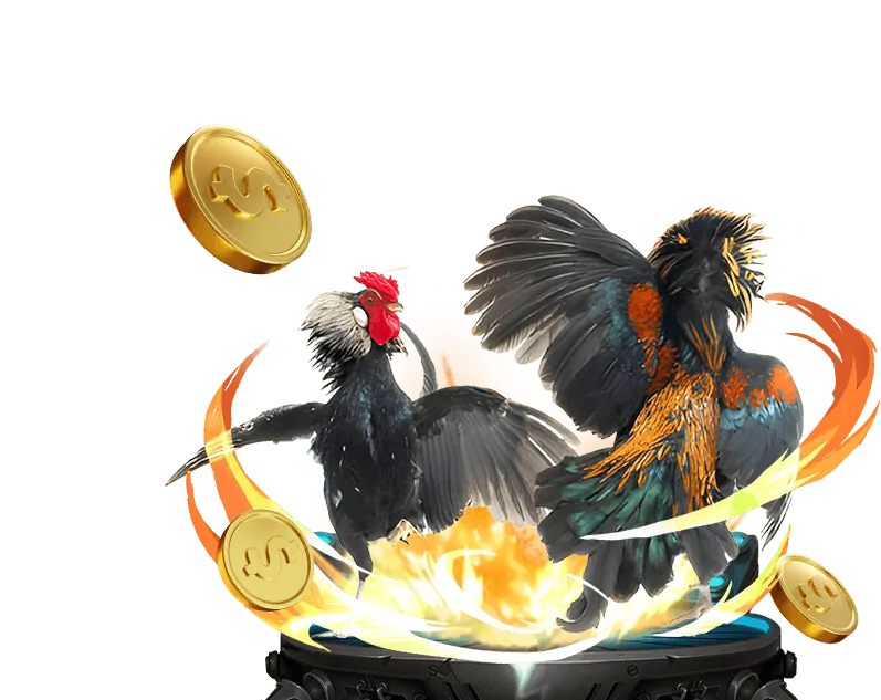 Dragon Tiger trực tuyến với hai lá bài